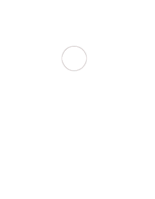 Ali Tech Local